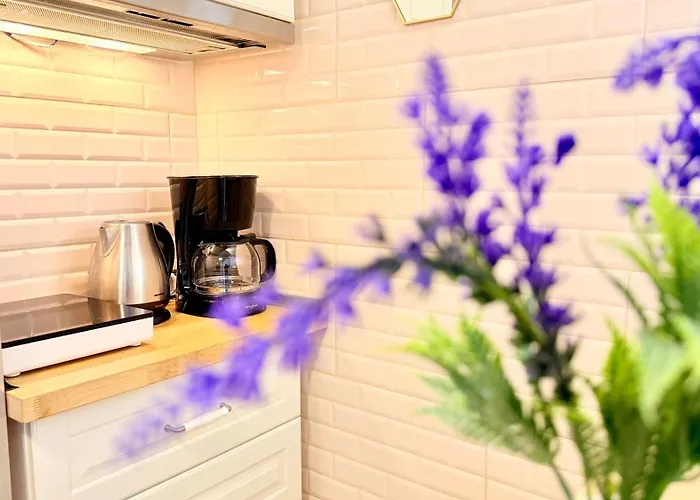 Boutique In Historic Old Town - Smardan Street Apartment Bucharest